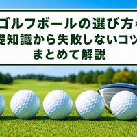 画像6449