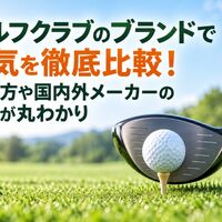 画像6570