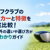 画像6628