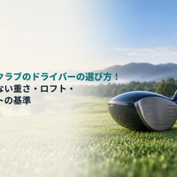 画像6662