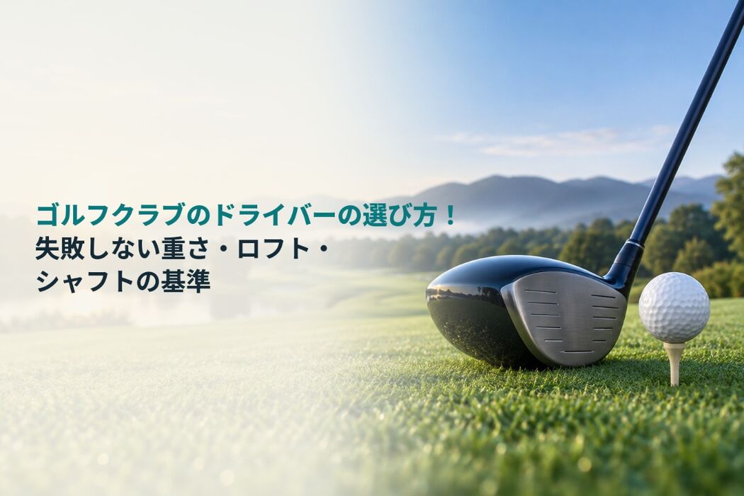 画像6662